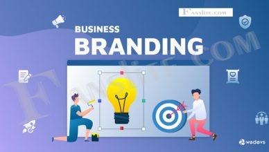 Classes of branding strategies