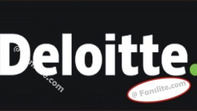 Deloitte: Audit, Consulting, Financial, and Risk Management