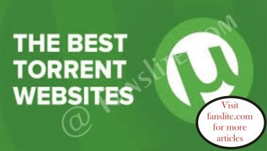 Torrent Sites - 10 Best Torrent Sites (That WORKS BEST) - All You Need To Know About Torrent Sites