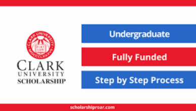 Clark University for Undergraduates - Apply for Clark Scholarship