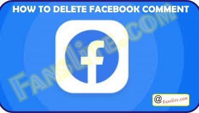 Deleting Facebook Comment - How to Delete Facebook Comment – Delete Facebook Comment