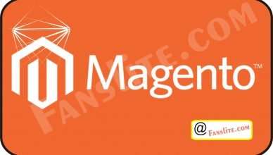 Mangento - Mangento Overview – All You Need to Know About Mangento | Mangento Features