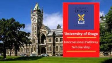 International Pathway Scholarship | How To Apply