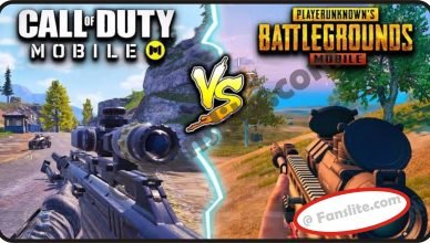 PUBG vs COD: 5 points of Comparison - CoD Mobile VS PUBG: Which One Should You Play in 2021
