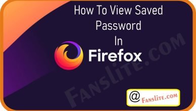 How Do I See Saved Password On Firefox -How To View Saved Password In Firefox - Saved Password on Firefox - All the Features of Mozilla Firefox