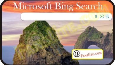 New Bing Feature - Bing Webmaster Tools - Necessary Things That You Might Find on Bing Webmaster Tools