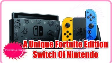 Nintendo Update - Nintendo Created A Unique Fortnite Edition Switch