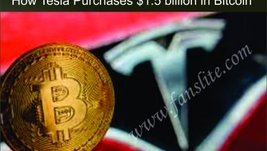 How Tesla Purchases $1.5 billion in Bitcoin