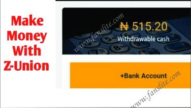 How to Make Money From Z-Union - You Can Earn up to N200 Daily