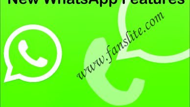 New WhatsApp Features - WhatsApp Users Are Moving Their Companion To Signal - Latest Updates