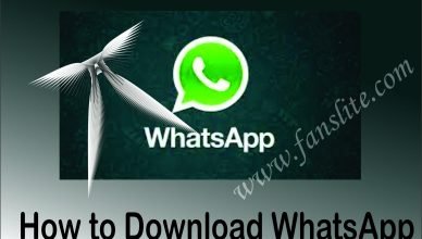 Steps for HeyWhatsApp Download - HeyWhatsApp Apk 14.00.0 Latest Download {HeyMods}