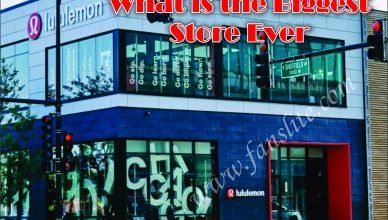 What is the Best Supermarket in the World - What is the Biggest Store Ever