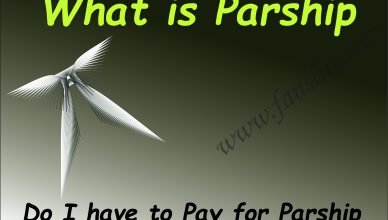 What is Parship - Do I have to Pay for Parship