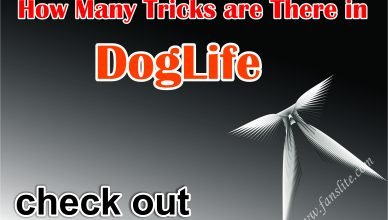 How Many Tricks are There in DogLife