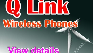 Q Link Wireless Phones - Features of Q link Phone
