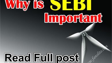 Why is SEBI Important - Can I invest in SEBI