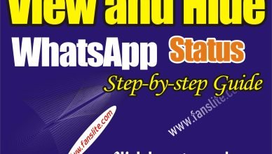 How View WhatsApp and they will not Know - Easy way to View Someone’s WhatsApp Status without them Knowing