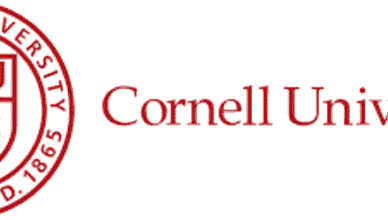 Cornell University Scholarship 2024