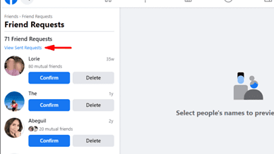 View Facebook friends Request