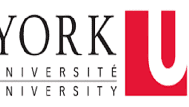 University of York Management School Scholarships 2024