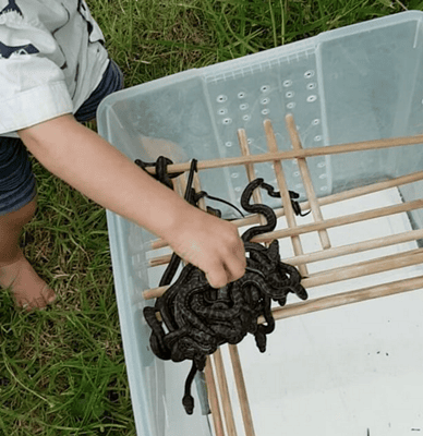 Two Year Old Boy Catches Snakes Alive