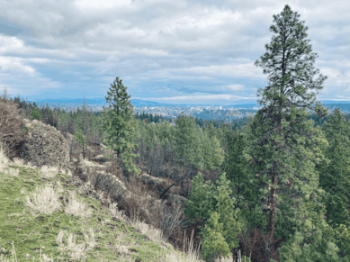 view of Rimrock Conservation Loop Trail-Palisades Park