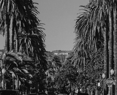 Los Angeles road scene.