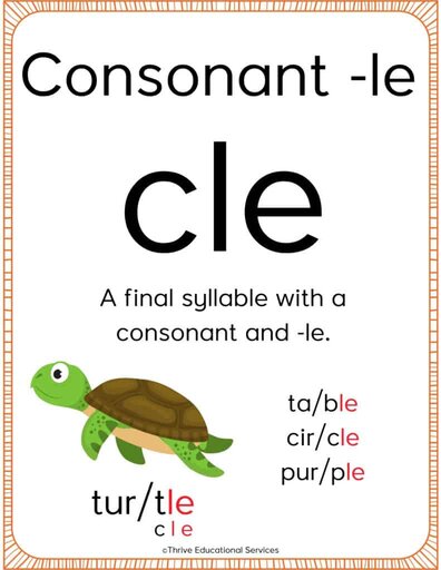 consonant le poster for the classroom with definition, picture of a turtle, and example words