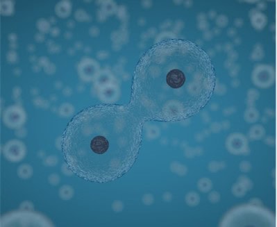 Juan De Borbon Discusses Clinical Research in Oncology