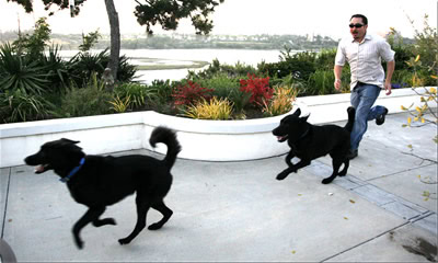 Human chasing two black dogs