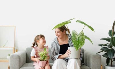 DYO OXYMAX Türkiye’de Çevre Etiketi alan ilk iç cephe boyası oldu