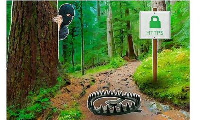 Reductor adlı zararlı yazılım, HTTPS trafiğini ele geçiriyor