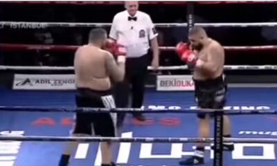 Umut Camkıran Mirko Tintor boks maçı özeti izle