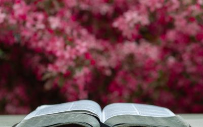 The Power of Focus, Part Two: Worry or Worship?