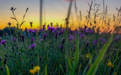 Glimpsing Gethsemane, Part Two