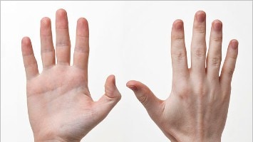 Rankos – svarbiausias žmogaus instrumentas