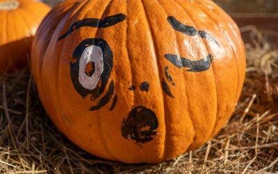 8 Creative Pumpkin Painting Ideas to Try This Fall