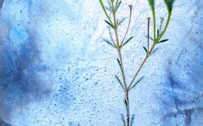 Water Flower Ideas that Make Boring Days More Creative