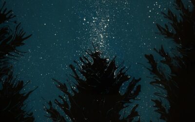 5 Inspiring Night Painting Ideas for Artists