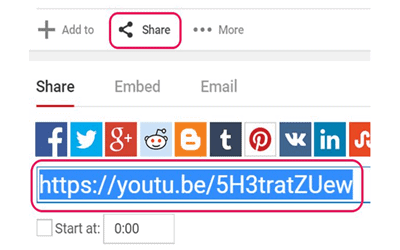 Embed Video In Gmail