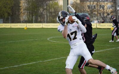 Saisonstart geglückt: Mödling Rangers feiern Auswärtssieg bei den Carinthian Lions