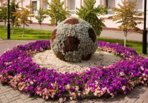 Soccer ball made of flowers