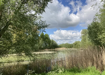 Ervaring van een pelgrim