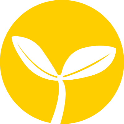 Plant on a maize background