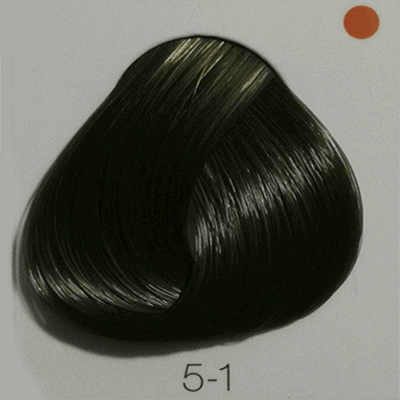 5.1 Ligth Brown Cendré