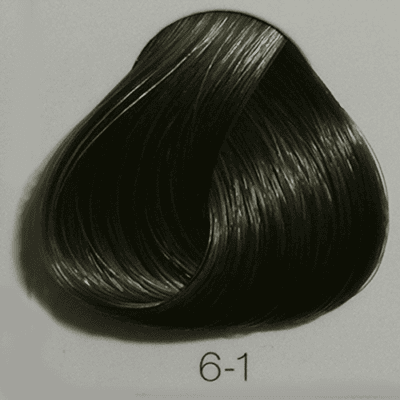 6.1 Dark Blonde Cendré