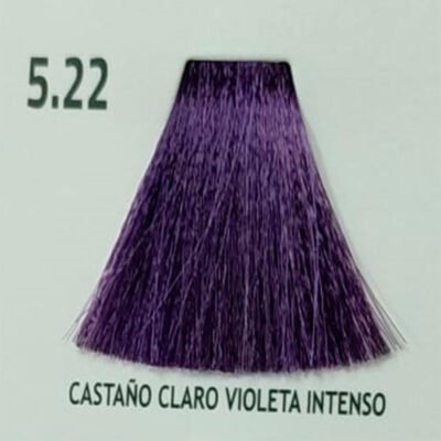 Castaño Claro Violeta Intenso 5.22