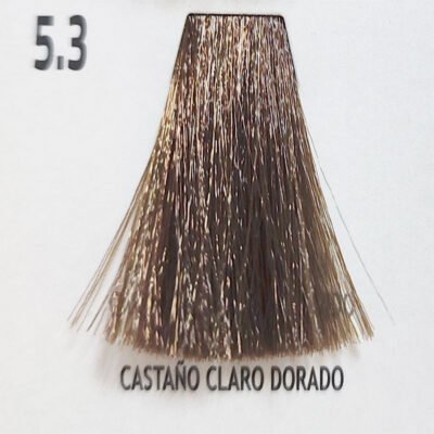 Castaño Claro Dorado 5.3
