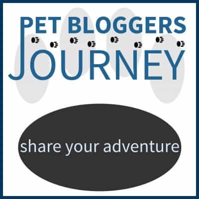 Pet Bloggers Journey 2020