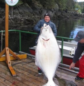 HALIBUT FISHING IN BC